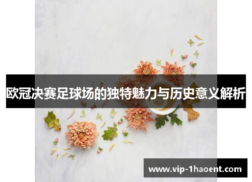 欧冠决赛足球场的独特魅力与历史意义解析