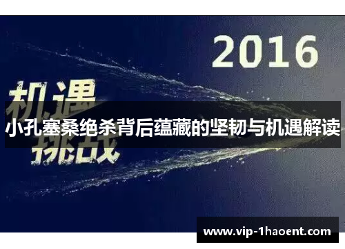 小孔塞桑绝杀背后蕴藏的坚韧与机遇解读