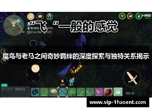 魔鸟与老马之间奇妙羁绊的深度探索与独特关系揭示