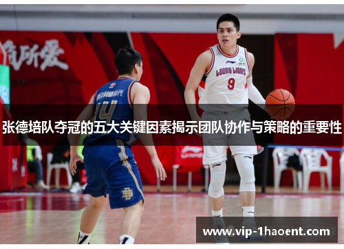 张德培队夺冠的五大关键因素揭示团队协作与策略的重要性 张德培队夺冠的五大关键因素揭示团队协作与策略的重要性