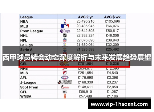 西甲球员转会动态深度解析与未来发展趋势展望