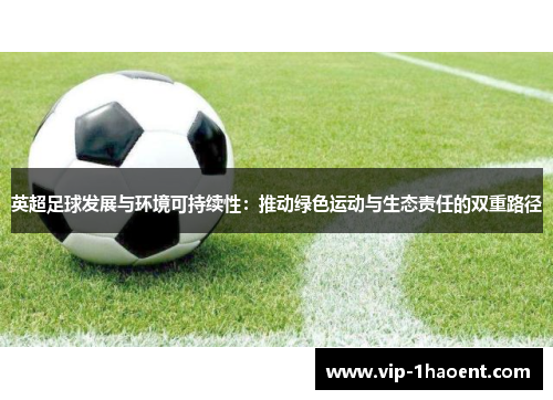 英超足球发展与环境可持续性:推动绿色运动与生态责任的双重路径 英超足球发展与环境可持续性:推动绿色运动与生态责任的双重路径